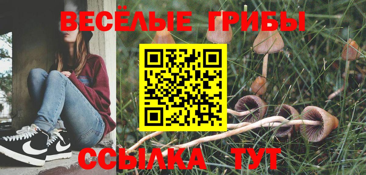 Курганинск  Галлюциногенные грибы Cubensis  цены наркотик  Галлюциногенные грибы Psilocybine cubensis  Вход с VPN 